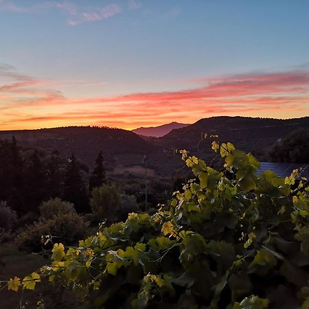 La Tinaia Country House マゴマーダス エクステリア 写真