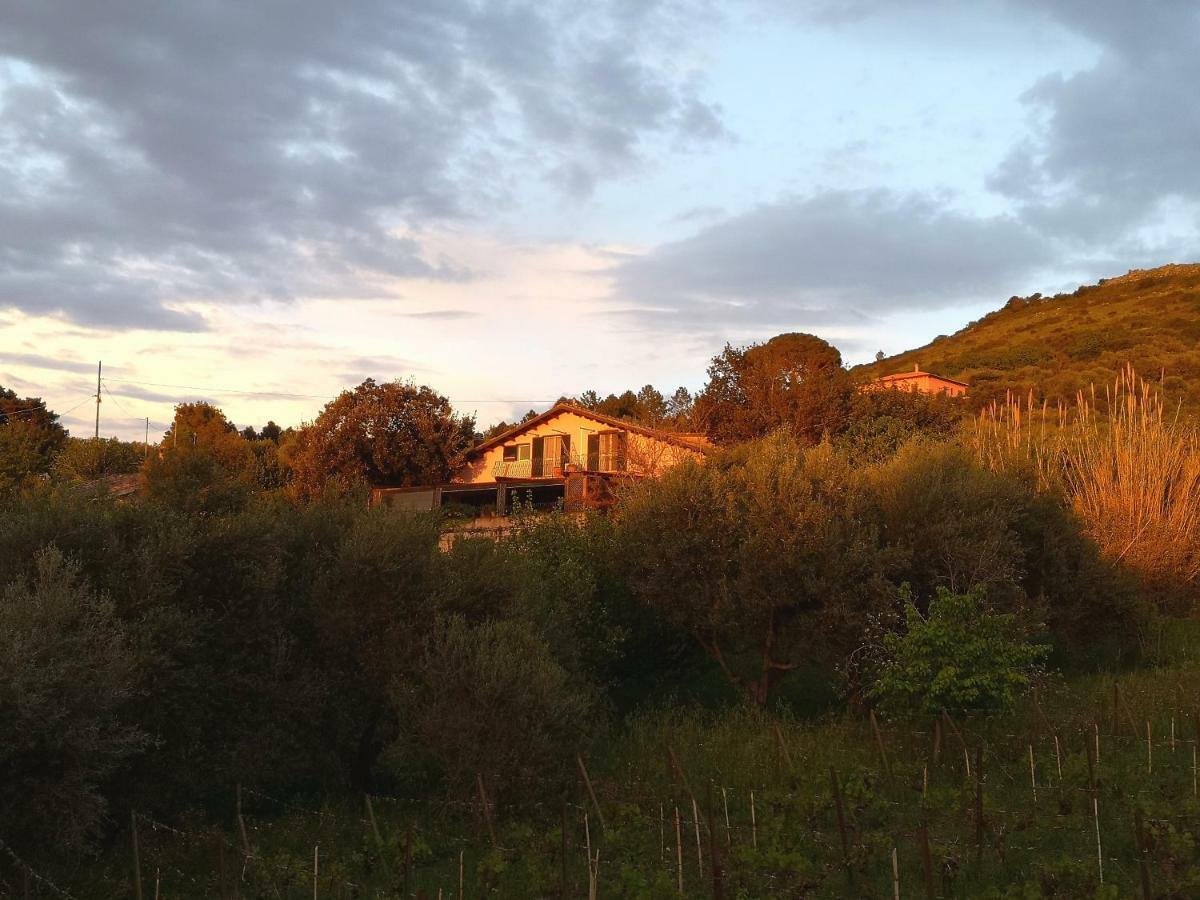 La Tinaia Country House マゴマーダス エクステリア 写真