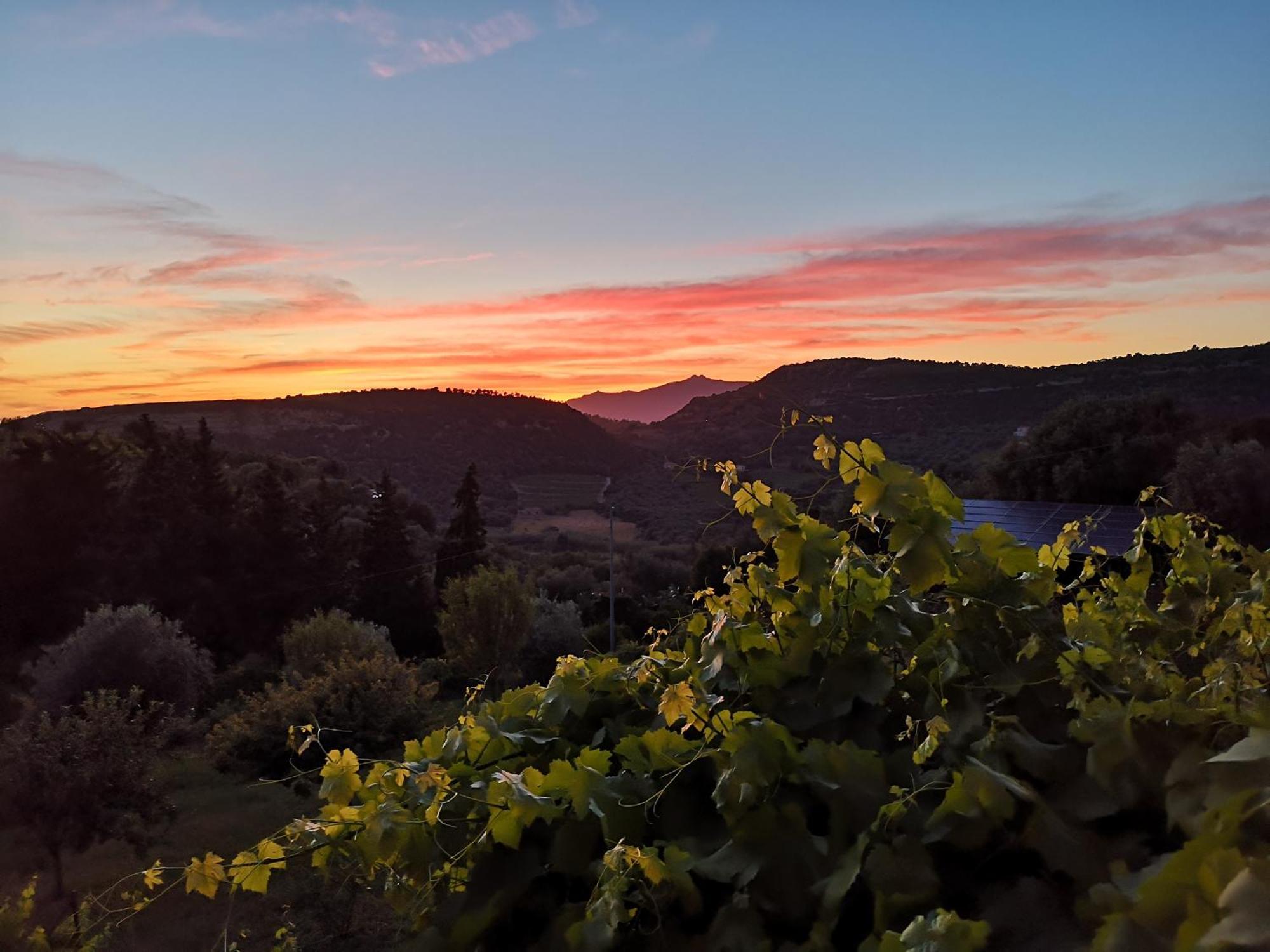 La Tinaia Country House マゴマーダス エクステリア 写真
