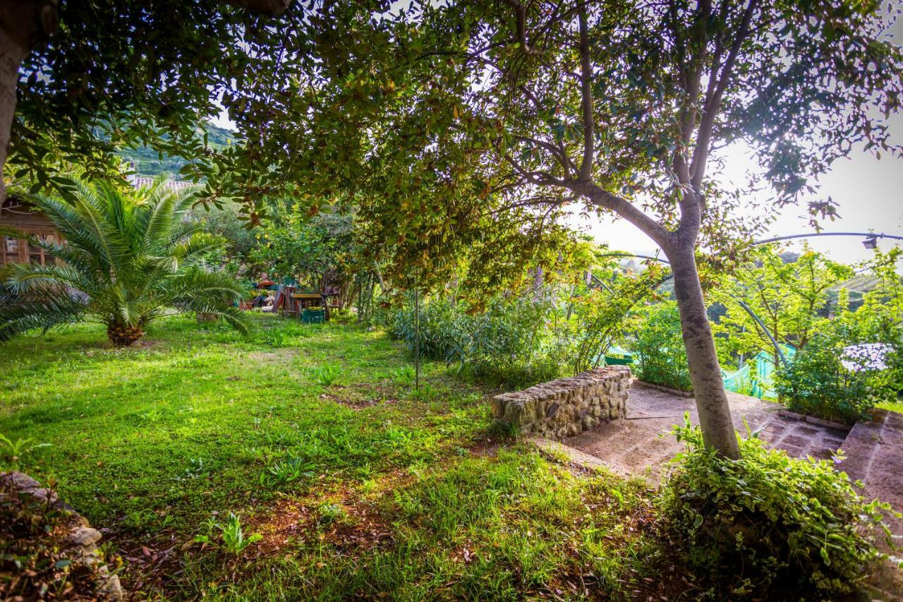 La Tinaia Country House マゴマーダス エクステリア 写真