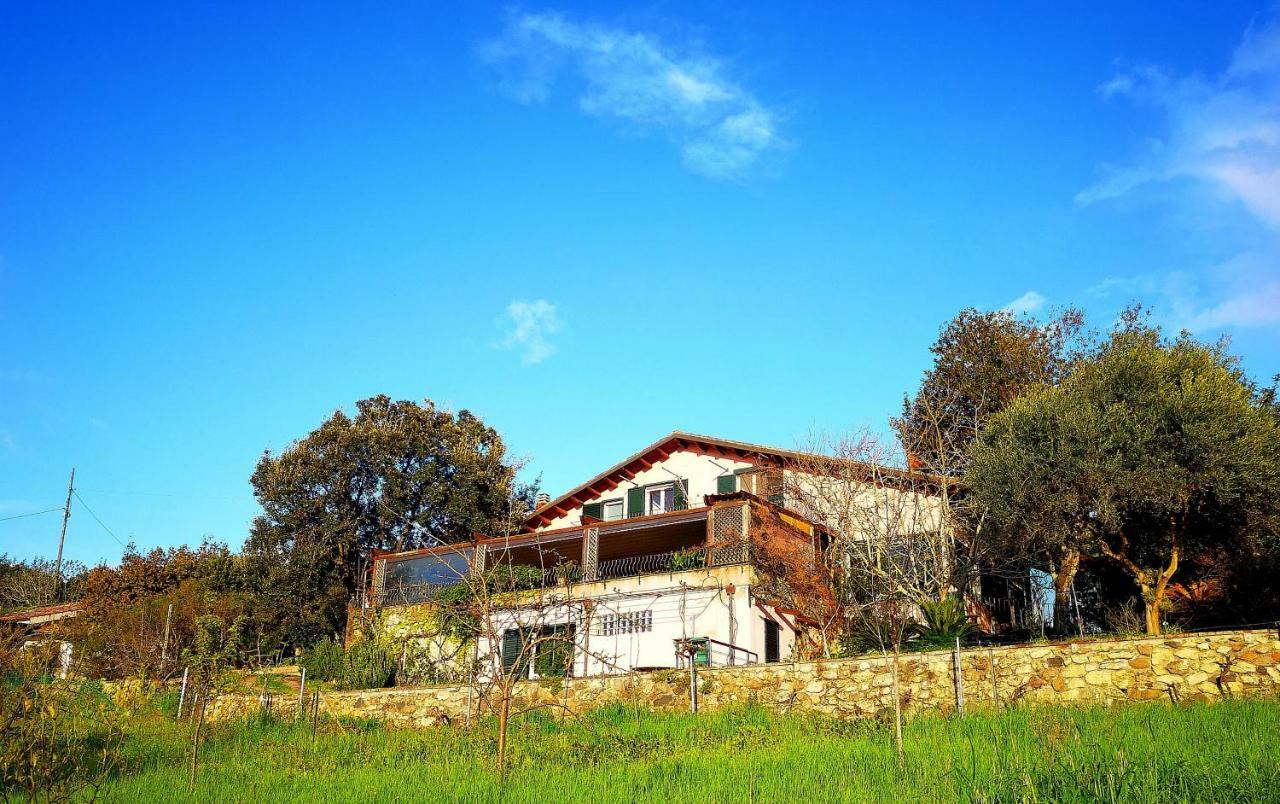 La Tinaia Country House マゴマーダス エクステリア 写真