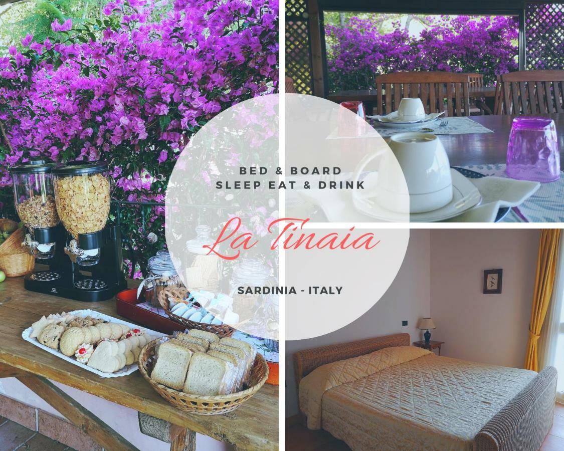 La Tinaia Country House マゴマーダス エクステリア 写真